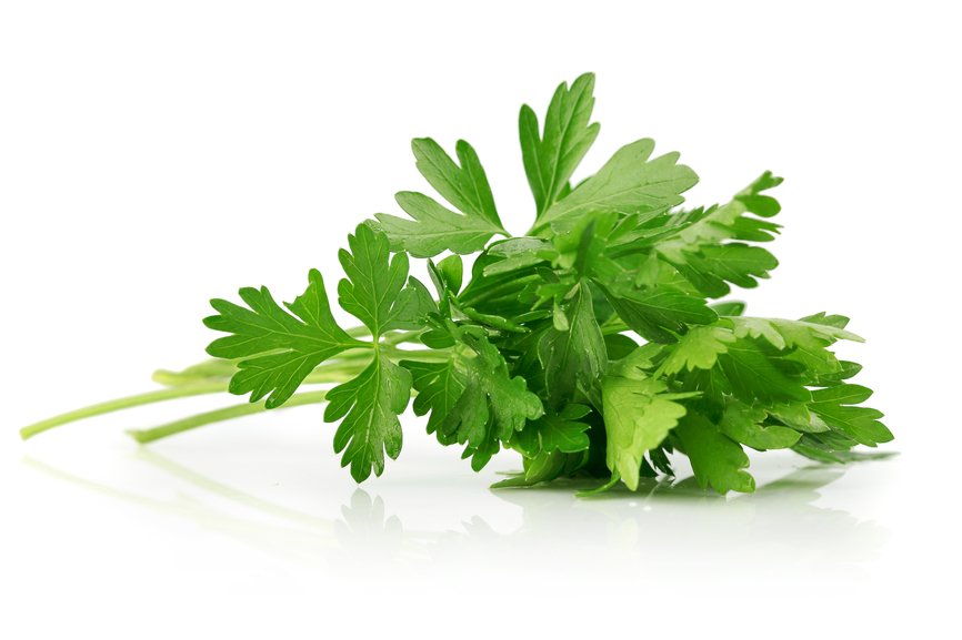 Parsley 