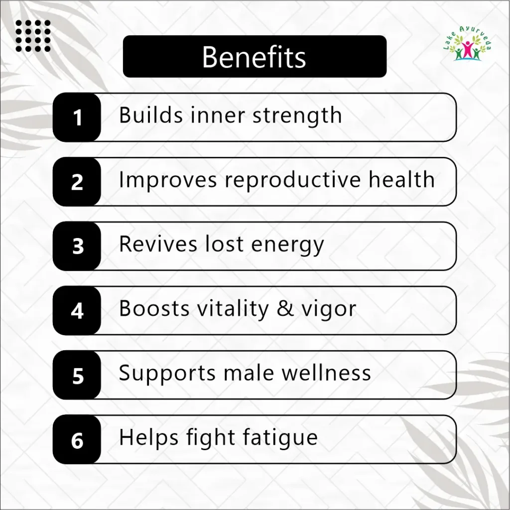 Key Benefits of Perfect Men Majoon-e-Shabab Zor