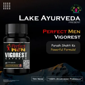 Perfect Men Vigorest Silver Capsules