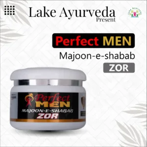 Perfect Men Majoon-e-Shabab Zor