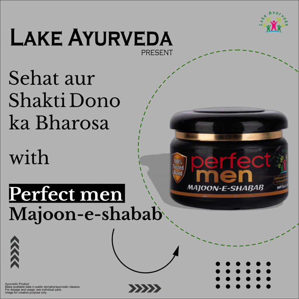 Perfect Men Majoon-e-Shabab