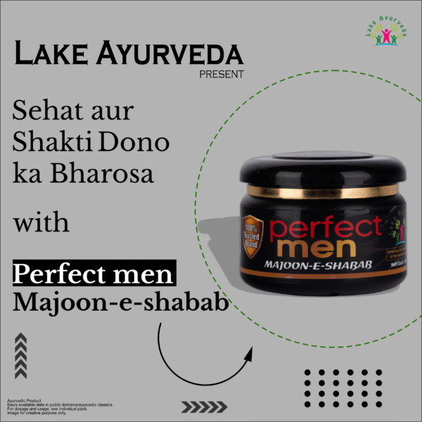 Perfect Men Majoon-e-Shabab