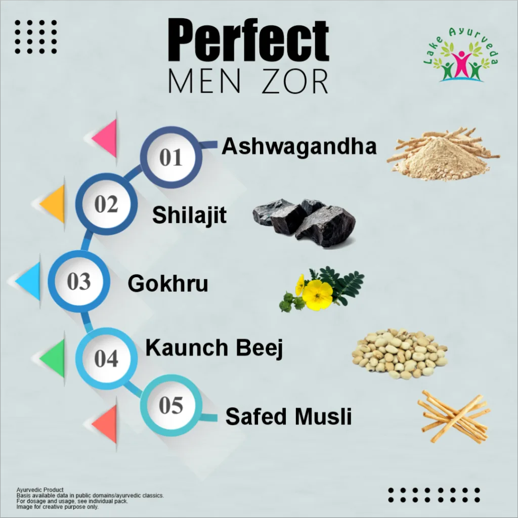 Key Ingredients of Perfect Men Zor Capsules