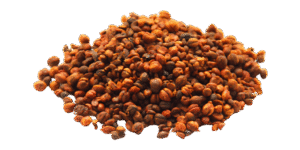 Malkangni 