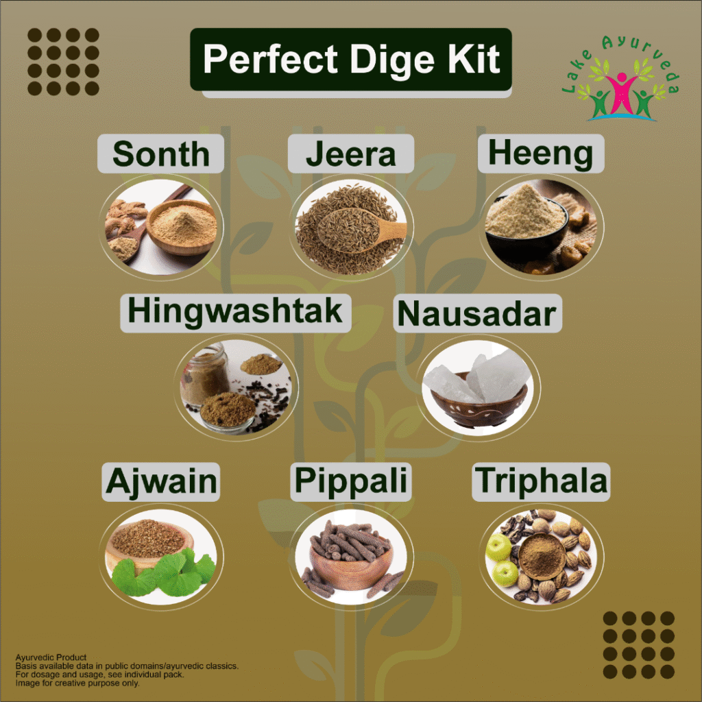 Key Ingredients of Perfect Dige Kit