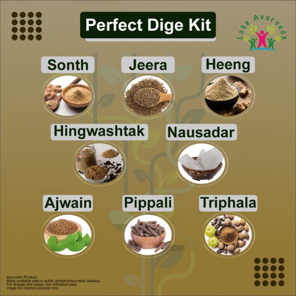 Key Ingredients of Perfect Dige Kit