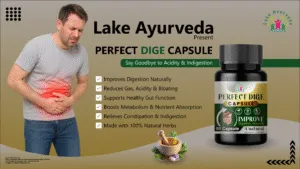 What Are Perfect Dige Capsules? Benefits, Uses, and Ingredients
