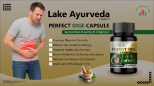 dige banner