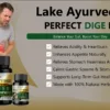 Perfect Dige Kit