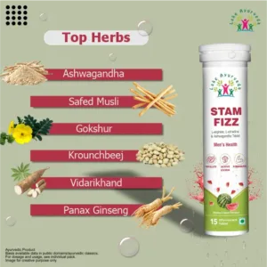 Stam Fizz ingredients