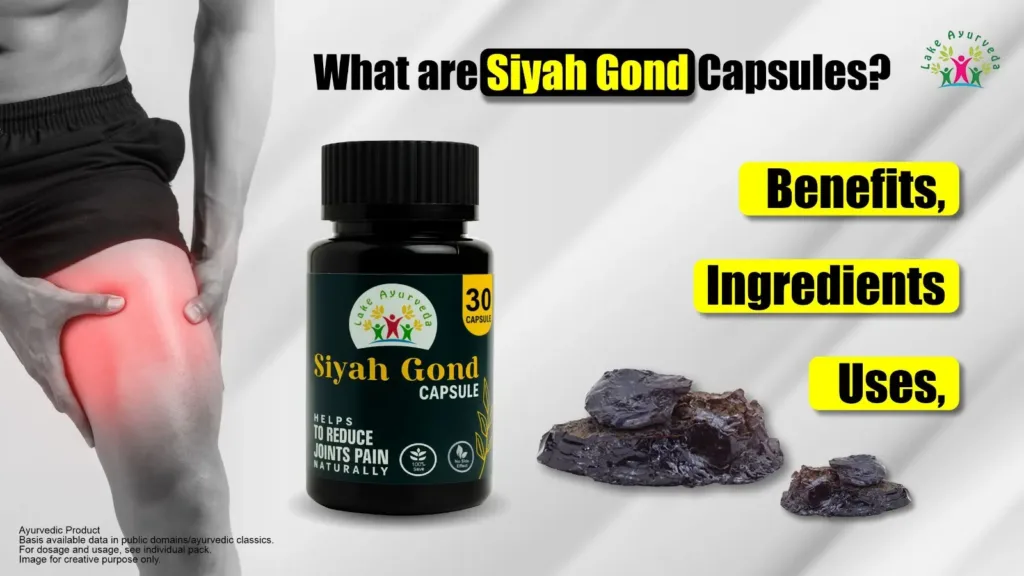 What are Siyah Gond Capsules, Benefits, Uses, and Ingredients