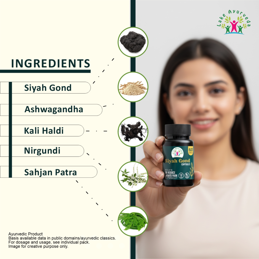 Key Ingredients of Siyah Gond Capsules