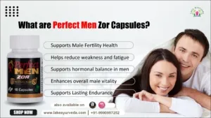 perfect men khas capsule