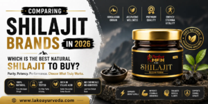 Comparing Shilajit Brands Which One Is Best in 2026