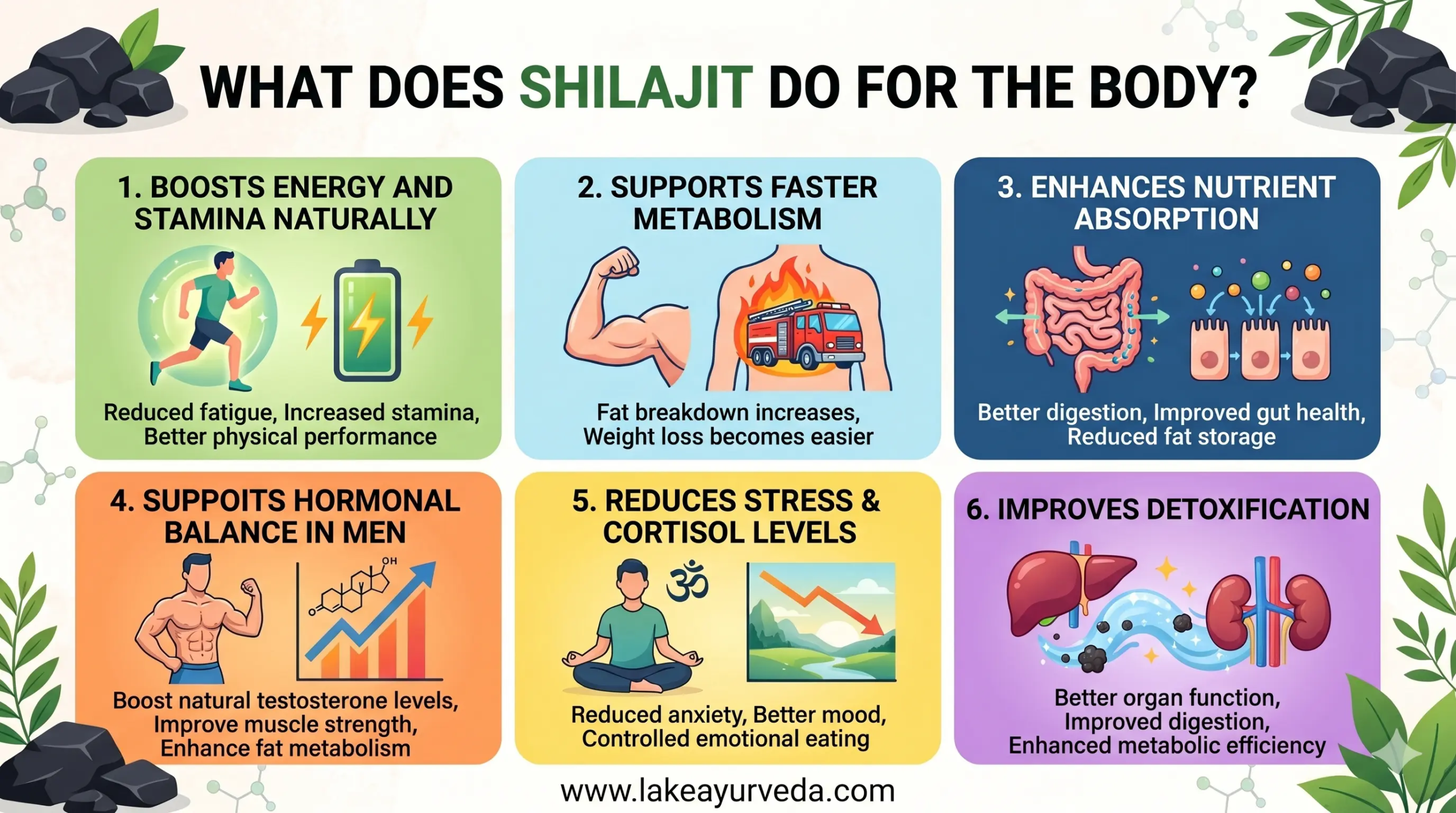 What Does Shilajit Do for the Body