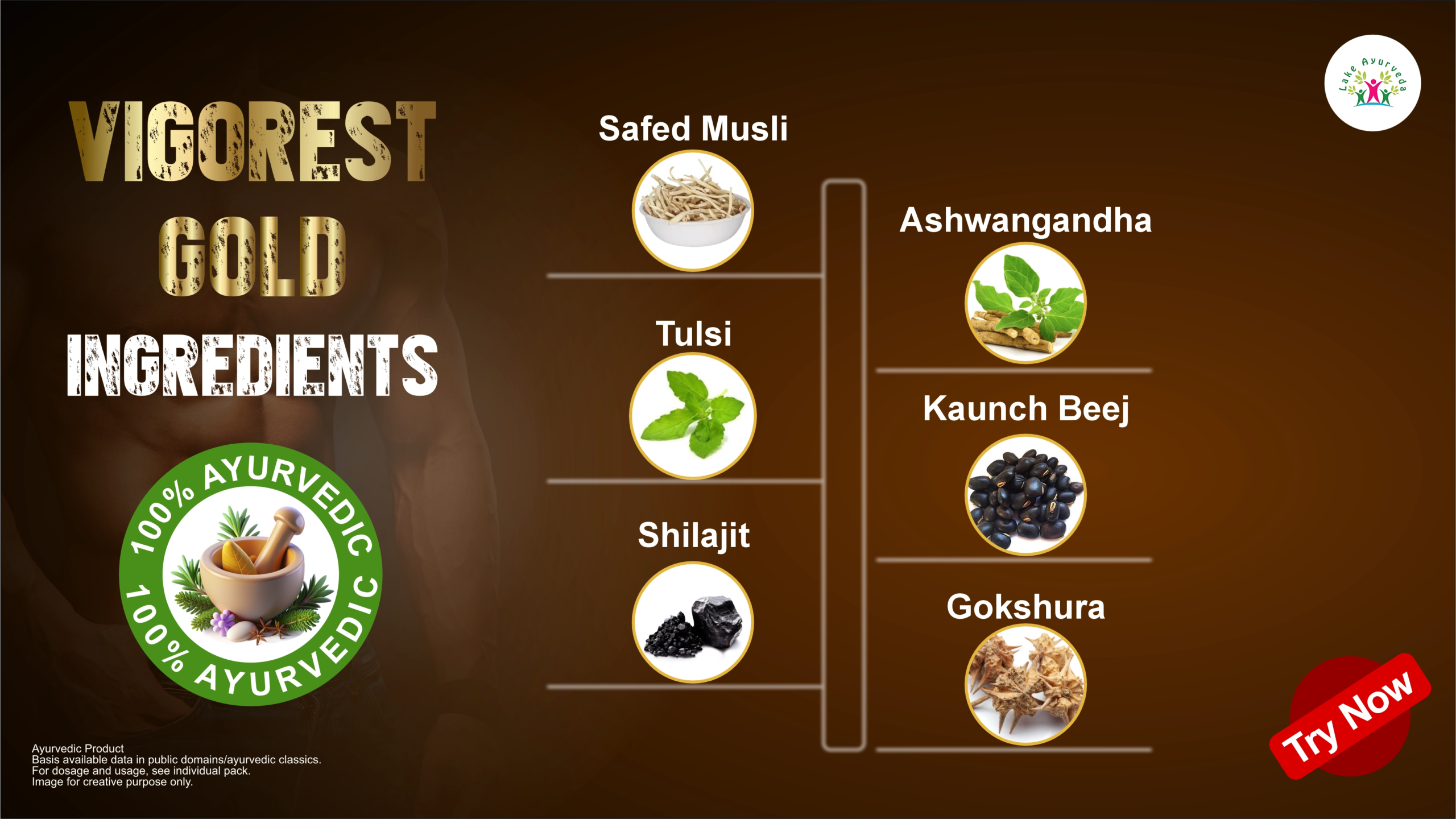 Key Ingredients of Perfect Men Vigorest Gold Capsule