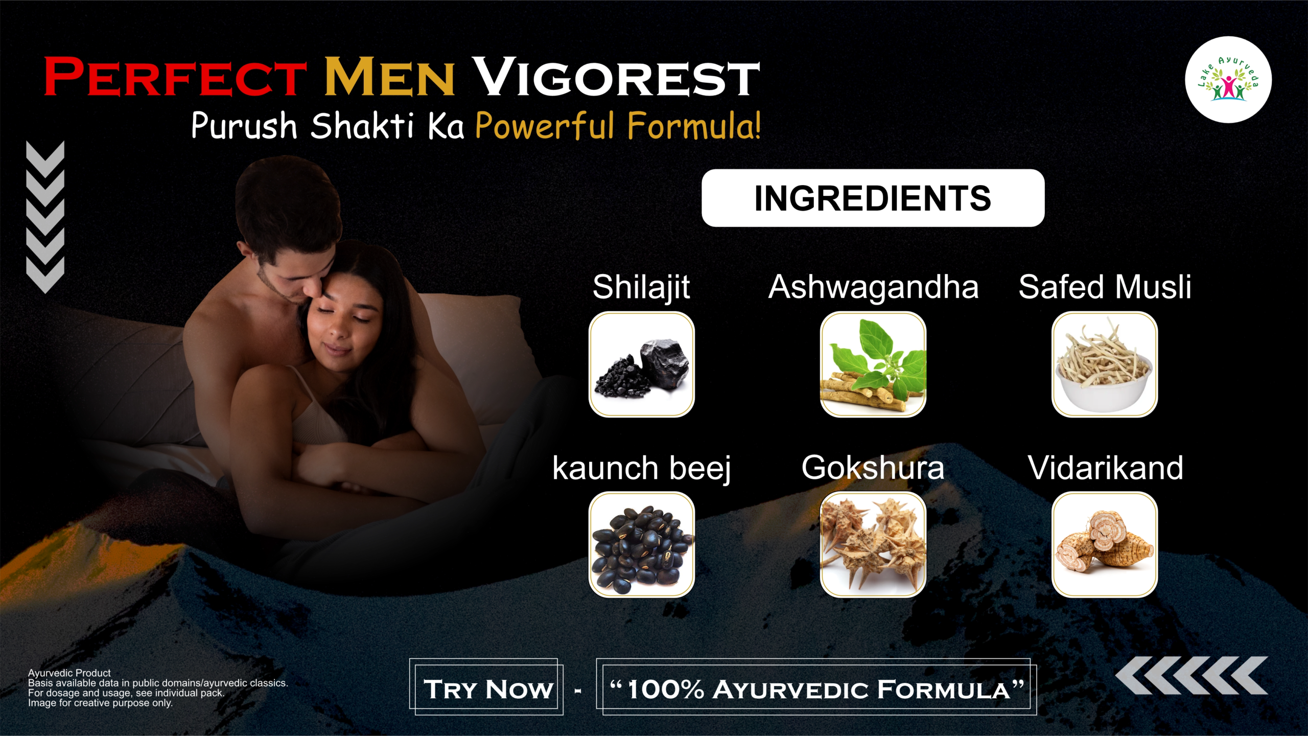 Key Ingredients of Perfect Men Vigorest Silver Capsule