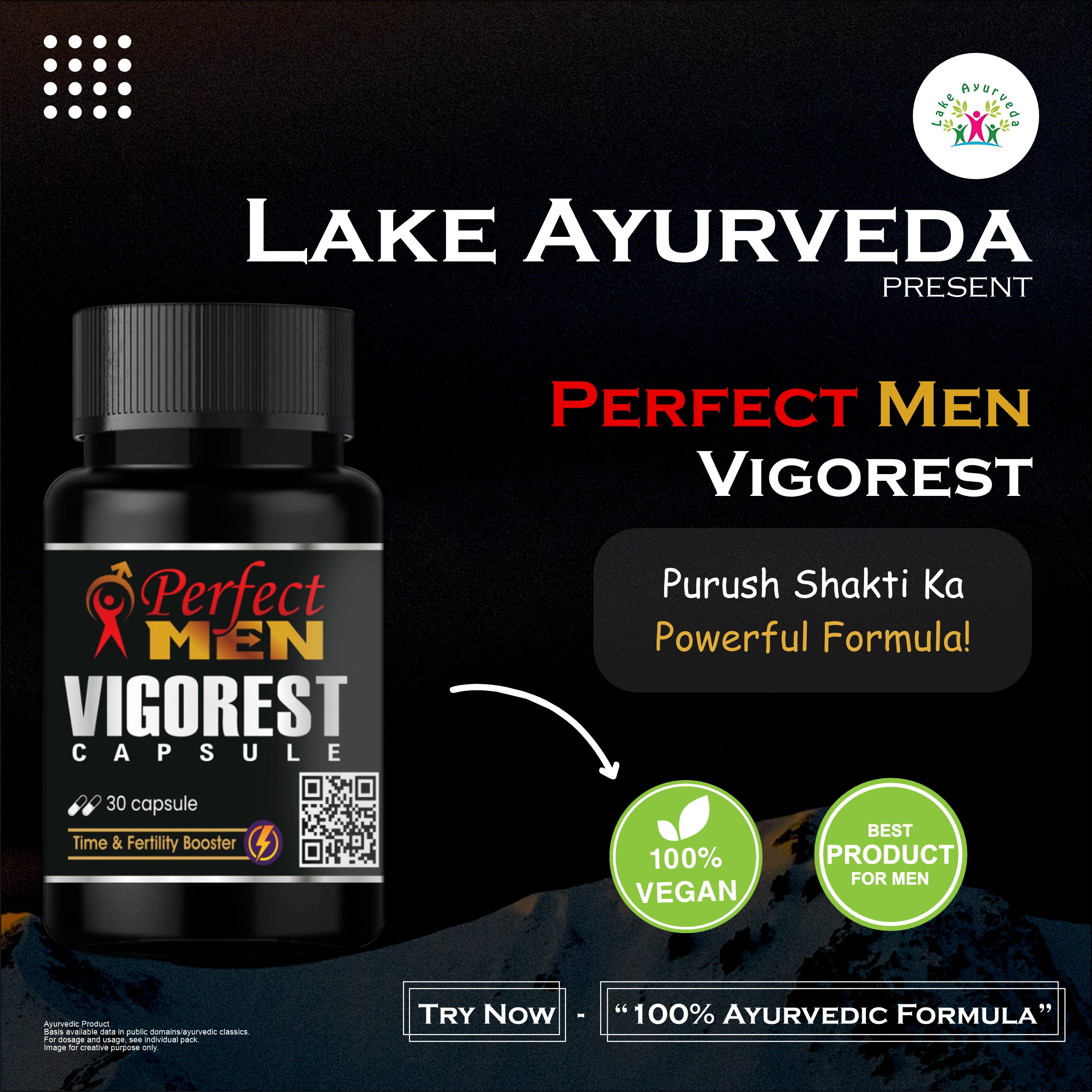 Perfect Men Vigorest Silver Capsule Perfect Men Vigorest Silver Capsule