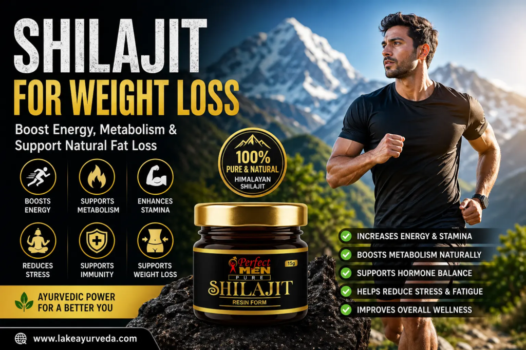 Shilajit for Weight Loss – What Does Shilajit Do for the Body