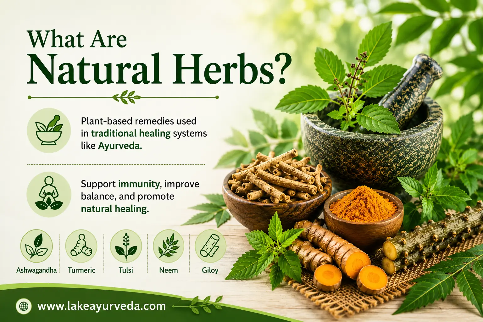 What Are Natural Herbs