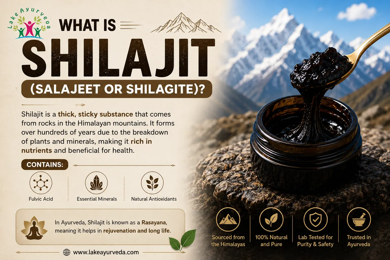 What is Shilajit