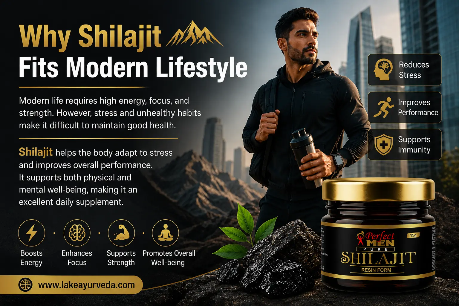 Why Shilajit Fits Modern Lifestyle