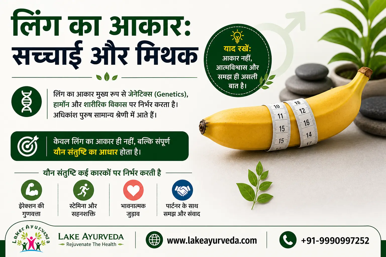 लिंग का आकार सच्चाई और मिथक